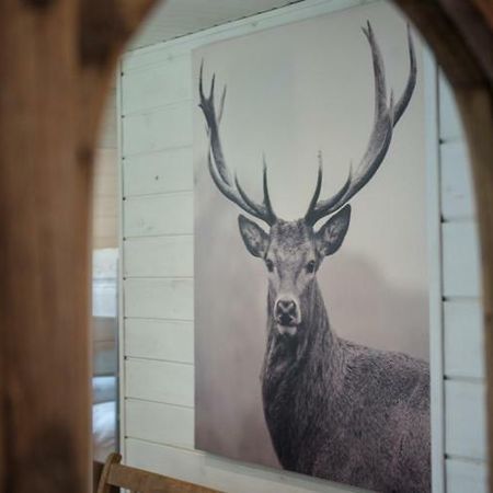 Chalet Le Grand Cerf Bullange Exterior foto