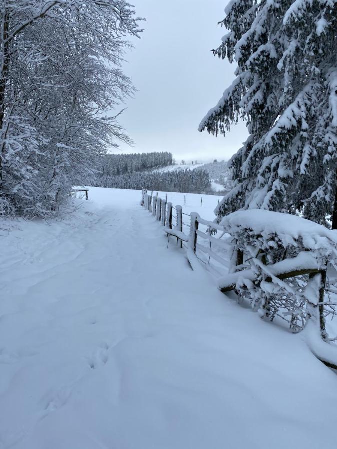 Chalet Le Grand Cerf Bullange Exterior foto